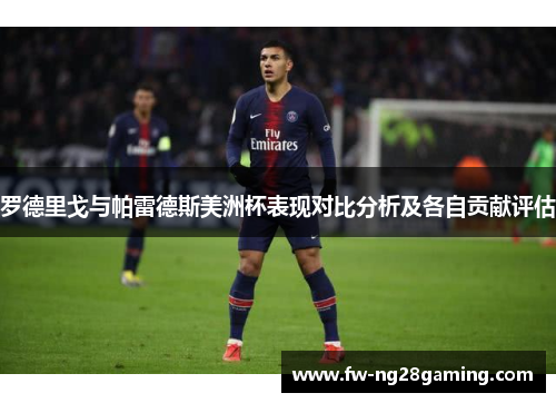 罗德里戈与帕雷德斯美洲杯表现对比分析及各自贡献评估